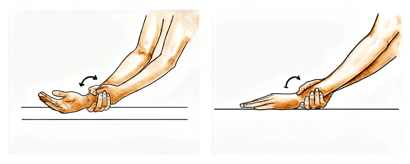 Forearm rotation between palm up (supination), neutral and palm down (pronation), then the other hand assisting the rotation at the wrist.