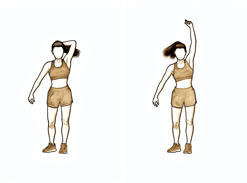 Standing, straightening the elbow overhead against a light weight.