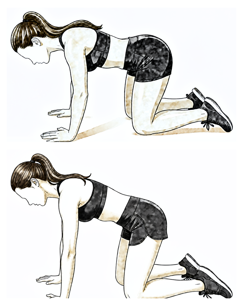 In a push-up position, the upper back pushes towards the ceiling as the shoulder blades slide apart.