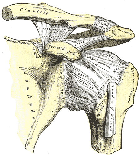 AC Joint Osteoarthritis