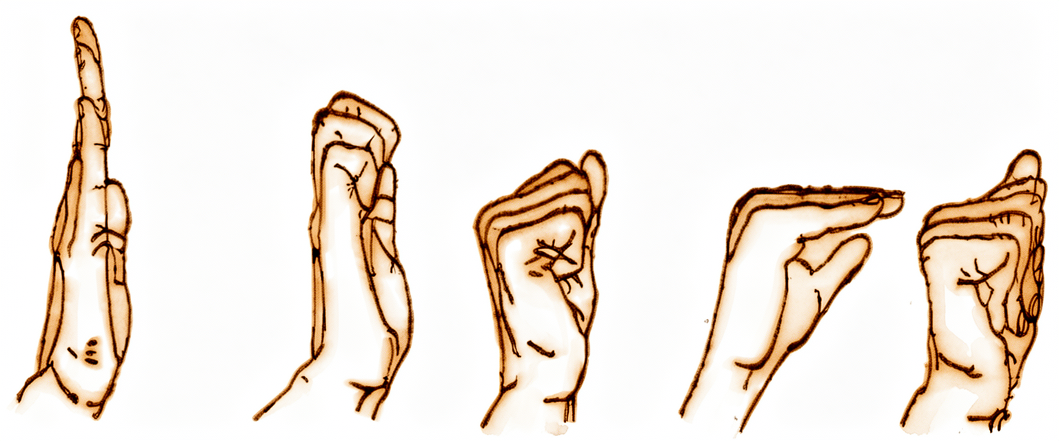 The hand moving from straight fingers through to a full fist